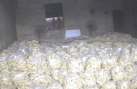 Kho gừng nồng nặc m�i lưu huỳnh.