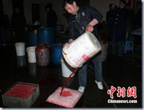 tiet canh
                                                          2