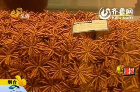 Manh khoe lam gia dong trung ha thao