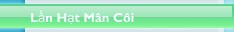 Lần Hạt M&acirc;n C&ocirc;i