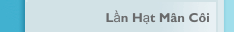 Lần Hạt M&acirc;n C&ocirc;i