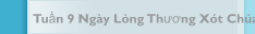 Tuần 9 Ng&agrave;y L&ograve;ng Thương X&oacute;t Ch&uacute;a