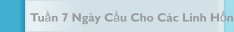 Tuần 7 Ng&agrave;y Cầu Cho C&aacute;c Linh Hồn